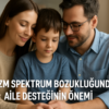 Otizm Spektrum Bozukluğunda Aile Desteğinin Önemi ve Stratejileri